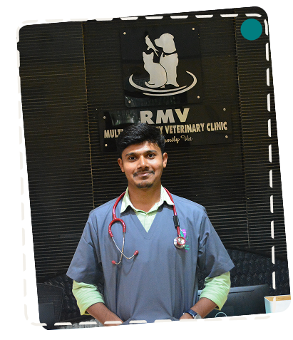 Dr. Basavaraj Consultant Veterinary Surgeon Chief Surgeon – Mahalakshmi Layout Branch