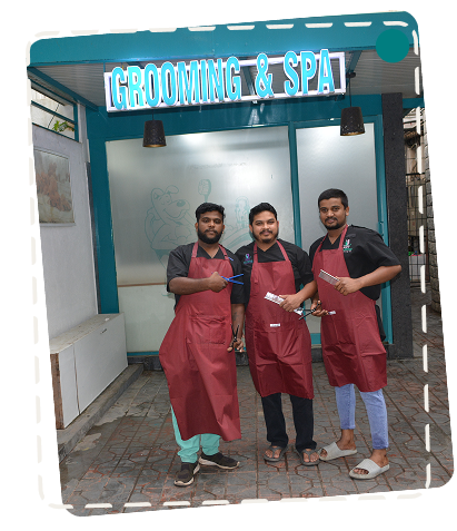 Groomers Team