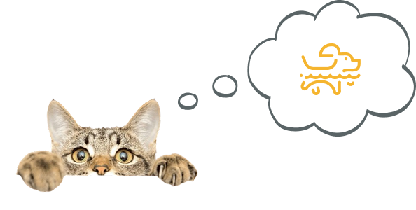 Cat 2