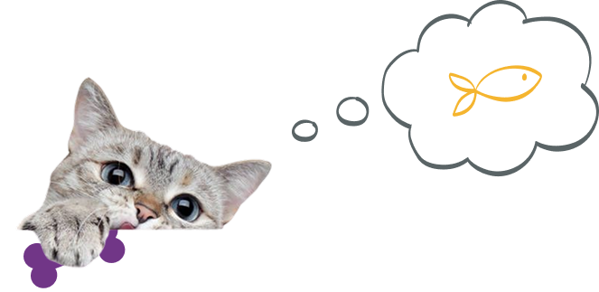 Cat 1