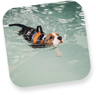 Swimming