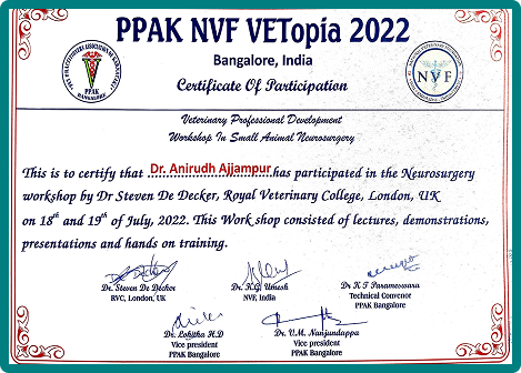 Neurosurgery