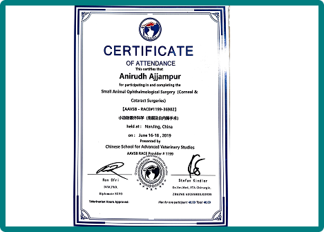Cataract Surgery