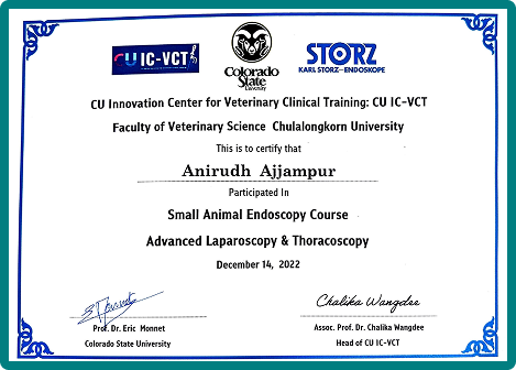 Advanced Endoscopy & Thoracoscopy