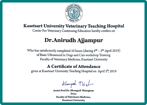 Advanced Ultrasound