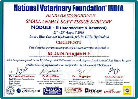 Advanced Soft Tissue Surgery